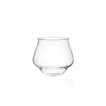 Go-Go Tumbler Set of 6 Liquor Glasses 580 cc