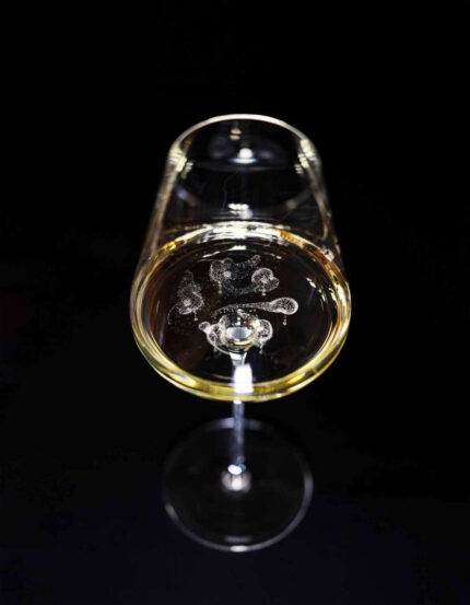 Etoilé Sparkle 6 calici champagne in vetro cristallino 480 cc.