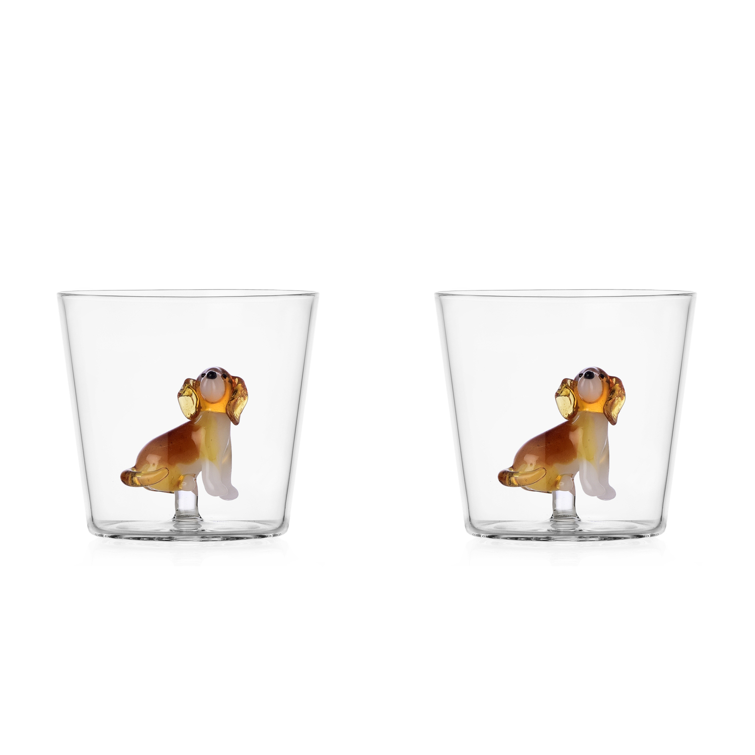 Golden Retriver Set2pz Dogs Vetro Borosilicato Ichendorf Milano Italy Set2pz Dogs Vetro Borosilicato Ichendorf Milano Italy
