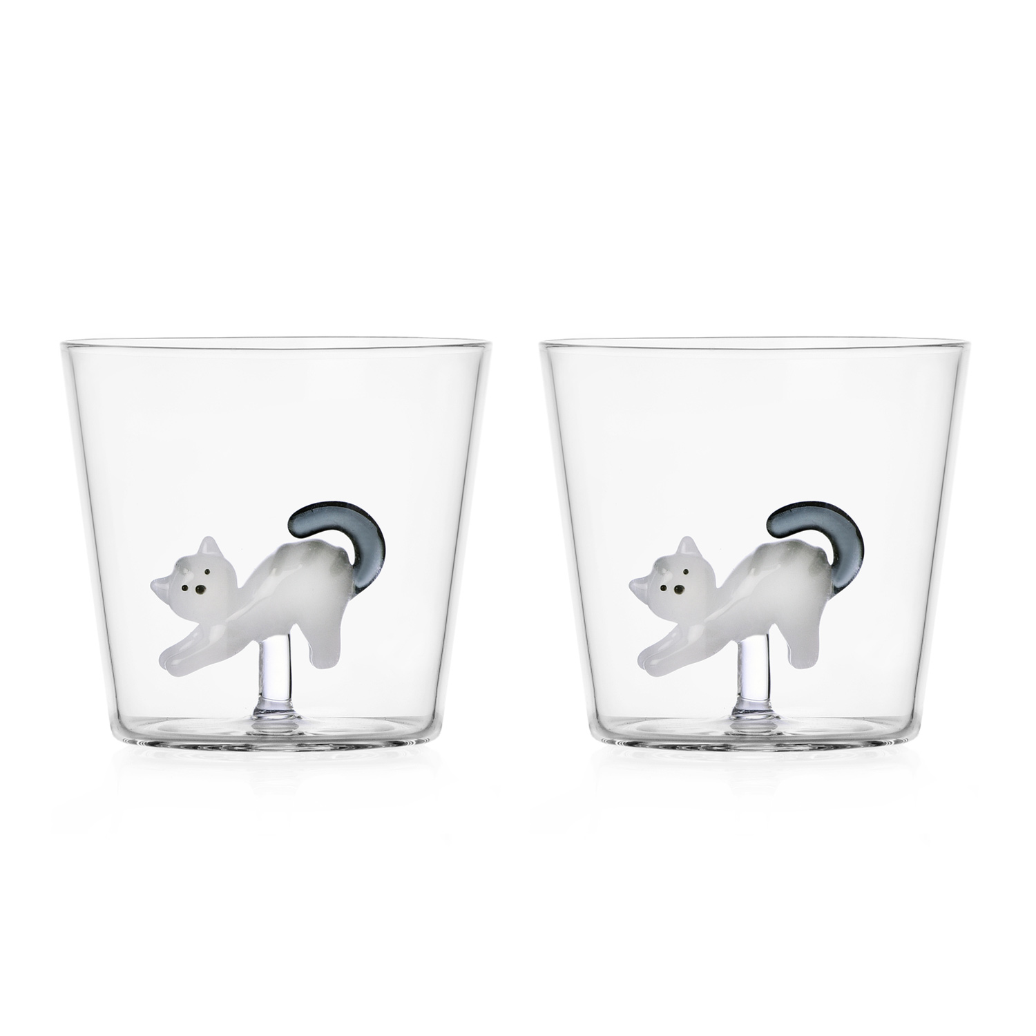 Tabby Cat Tumbler Gatto Bianco Coda Grigia Ichendorf Milano Coppia