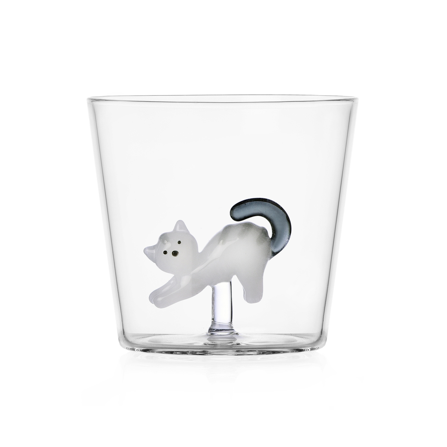 Tabby Cat Tumbler Gatto Bianco Coda Grigia Ichendorf Milano