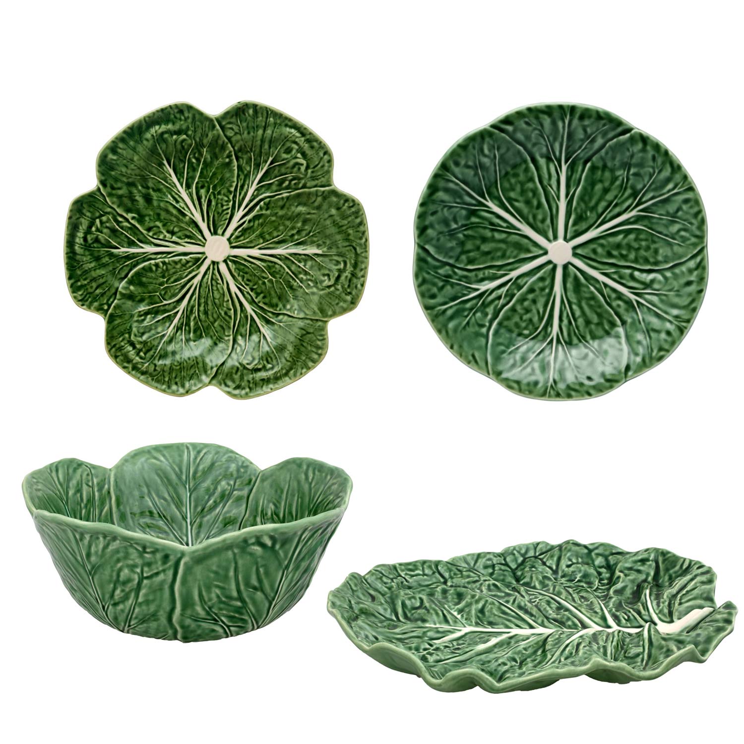 Collezione cabbage Collezione Cabbage